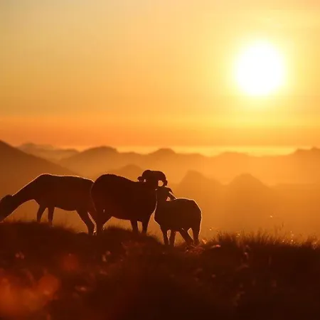 Appartement Duplex Cosy Pour 5 Pers., Balcon Sud, Parking, Proche Centre Et Remontees, Navette Hivernale - Fr-1-401-82 *