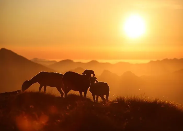 דירה Duplex Cosy Pour 5 Pers., Balcon Sud, Parking, Proche Centre Et Remontees, Navette Hivernale - Fr-1-401-82 *